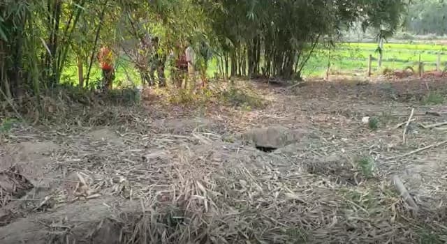 রাতের আধারে কবর খুড়ে ১৬ টি কঙ্কাল চুরি