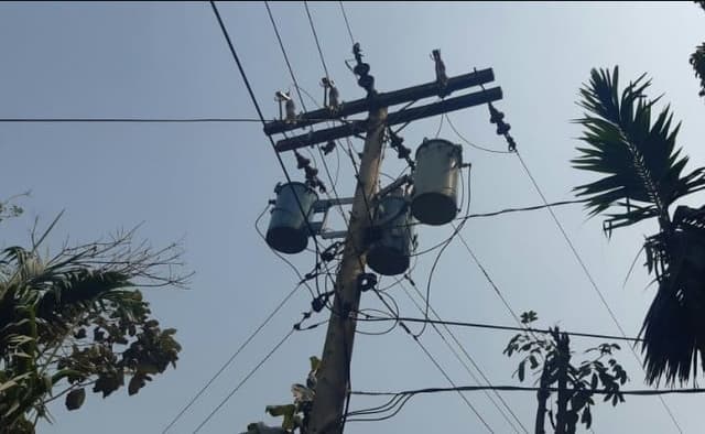 সংবাদ প্রকাশে টনক নড়েছে পল্লী বিদ্যুতের; রাতেই ট্রান্সফরমার প্রতিস্থাপন