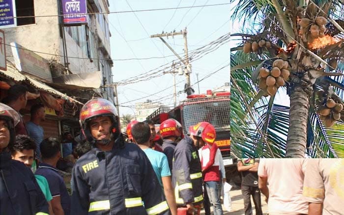 দেবীদ্বারে বৈদ্যুতিক শর্ট সার্কিট থেকে গাছে আগুন! আতঙ্ক