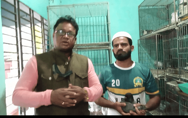 শখ করে কবুতর পালনে স্বাবলম্বী হওয়ার গল্প মহি উদ্দিনের