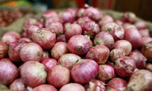 চলতি সপ্তাহে আসছে ভারতীয় পেঁয়াজ