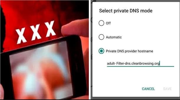 এক মিনিটেই বন্ধ করুন মোবাইলে পর্নসাইট (ভিডিও)