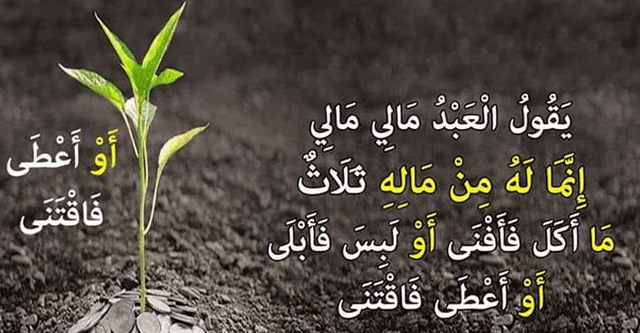 কতটুকু সম্পদের মালিক মানুষ?