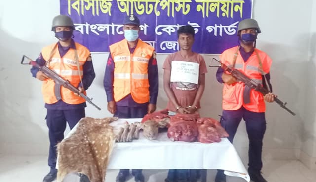 সুন্দরবনে হরিণের মাংস, চামড়াসহ শিকারি আটক