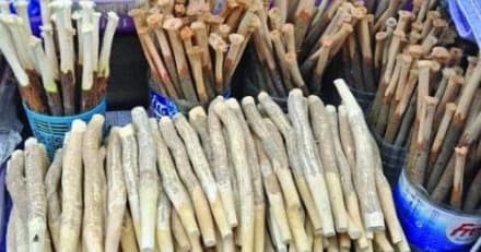 মেসওয়াক করলে মৃত্যুর সময় কালেমা নসিব হয়
