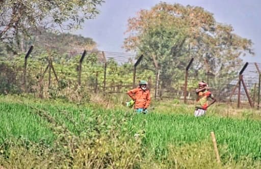 ভারতীয়দের জমিতে বাঙালিদের চাষাবাদ