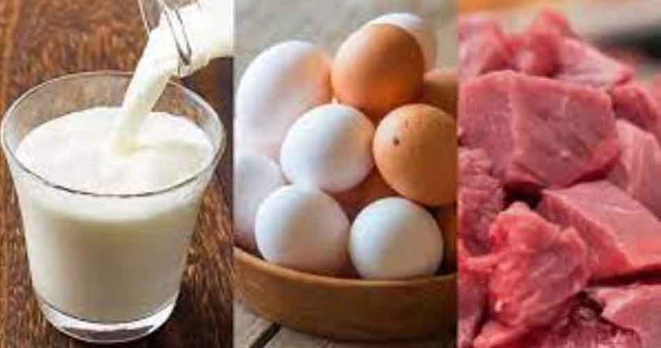 সুলভ মূল্যে দুধ-ডিম-মাংস বিক্রির কার্যক্রম উদ্বোধন