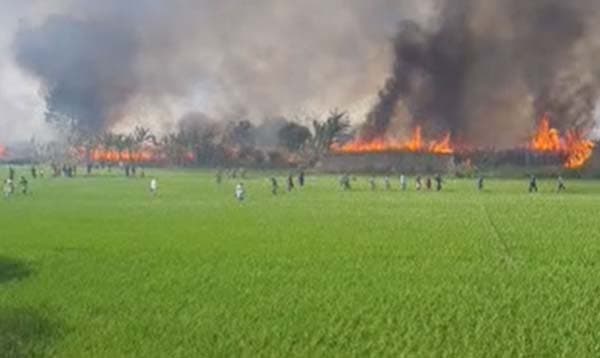 কুষ্টিয়ায় পানের বরজে ভয়াবহ অগ্নিকান্ড, নিয়ন্ত্রণের চেষ্টায় ৮ ইউনিট