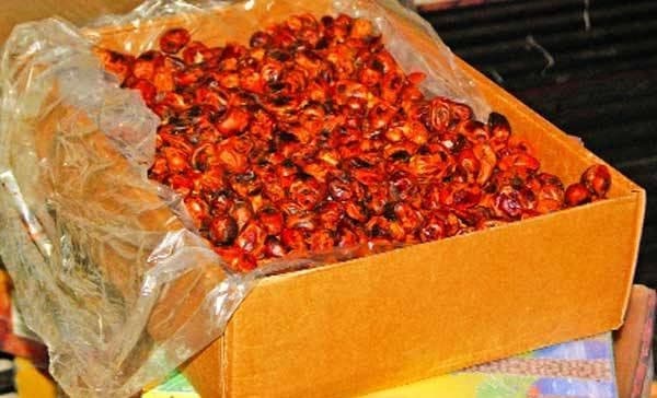 নারায়ণগঞ্জে হিমাগারে অভিযান: ৩১ টন খেজুর জব্দ, ১৪ টনই মেয়াদোত্তীর্ণ !