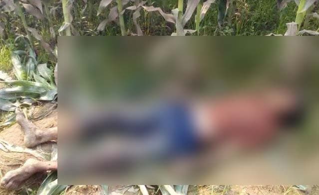 পাঁচবিবিতে ভুট্টাক্ষেতে পড়ে ছিল অজ্ঞাত ব্যক্তির লাশ