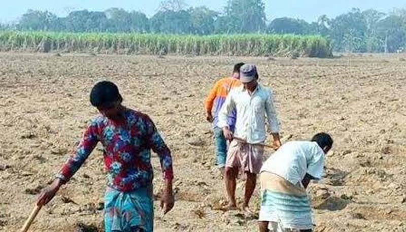 ৪ হাজার আখচাষীর জন্য মাটি পরীক্ষার ফি জনপ্রতি মাত্র ১০ টাকা