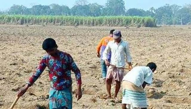 ৪ হাজার আখচাষীর জন্য মাটি পরীক্ষার ফি জনপ্রতি মাত্র ১০ টাকা