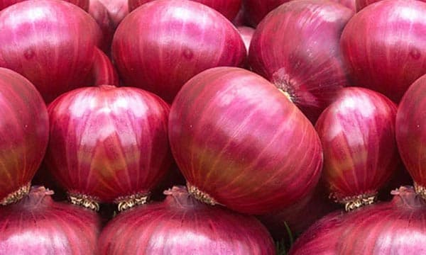 আগামী সপ্তাহে আসবে ভারতীয় পেঁয়াজের প্রথম চালান