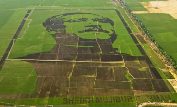 ‘শস্যচিত্রে বঙ্গবন্ধু’ গড়ল গিনেস রেকর্ড