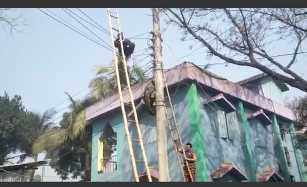 পরিষদে সামনে পরাজিত চেয়ারম্যান প্রার্থীর আত্মহত্যার চেষ্টা!