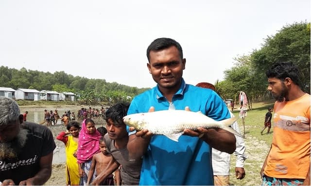 এবার পুকুরে পাওয়া গেল তাজা ইলিশ