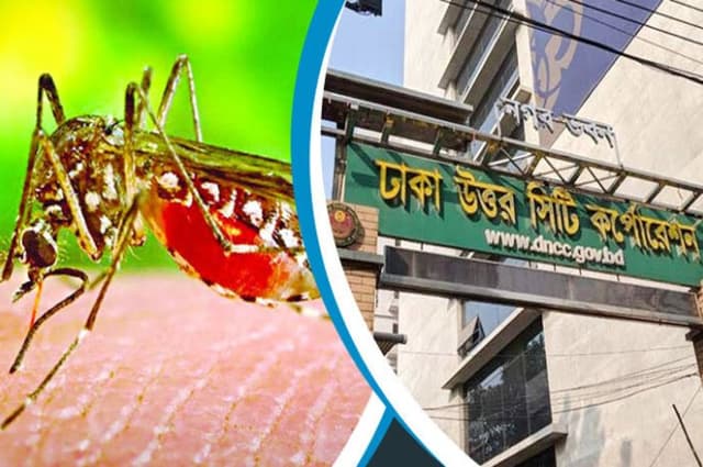 মশা মারলে মিলবে স্বর্ণপদক