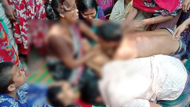 পানিতে ডুবে দুই ভাইবোনের মৃত্যু