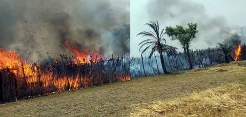 ঝিনাইদহের তিন উপজেলায় কোটি টাকার সম্পদ ভস্মিভূত