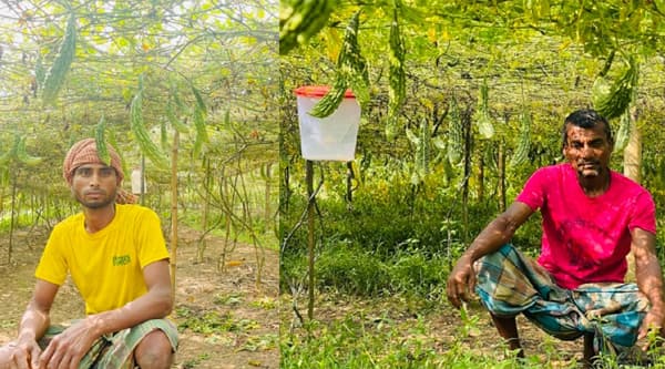 করলা চাষের কারণে যে গ্রামের নাম 'করলা'