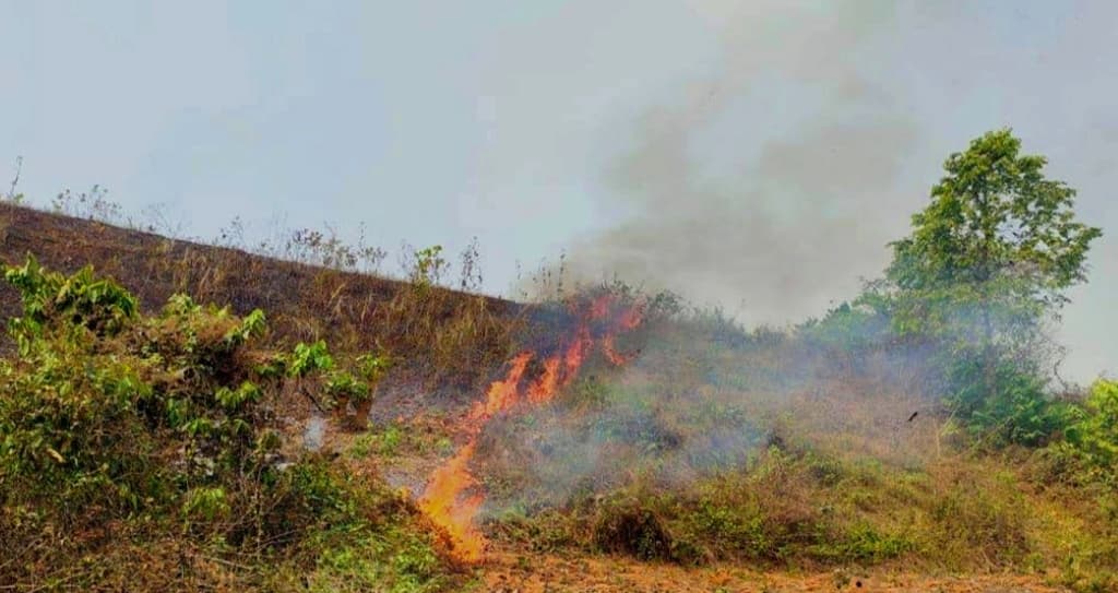 কুবির পাহাড়ে ফের আগুন জানেনা প্রশাসন!