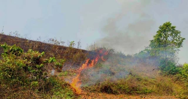 কুবির পাহাড়ে ফের আগুন জানেনা প্রশাসন!