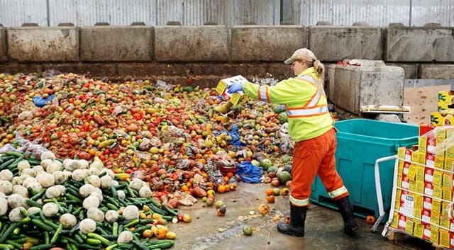 বিশ্বে প্রতিদিন ১০০ কোটি টন খাবার নষ্ট হয় : জাতিসংঘ