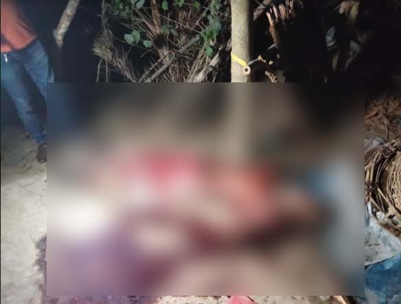 জমি নিয়ে বিরোধে বৃদ্ধকে কুপিয়ে হত্যা