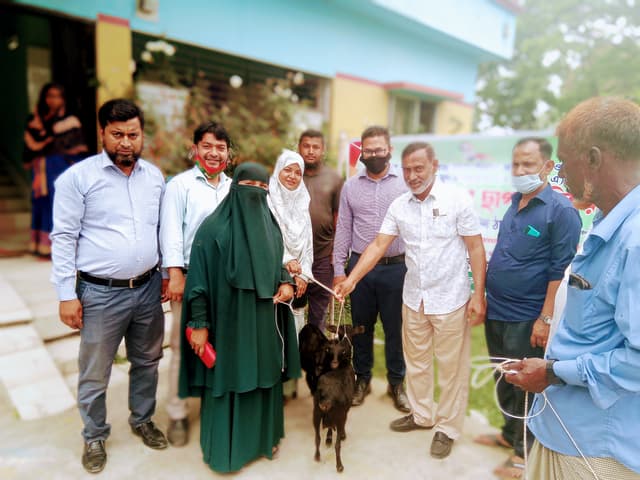 সরাইলে ২০ জন জেলেকে ৪০টি ছাগল বিতরণ