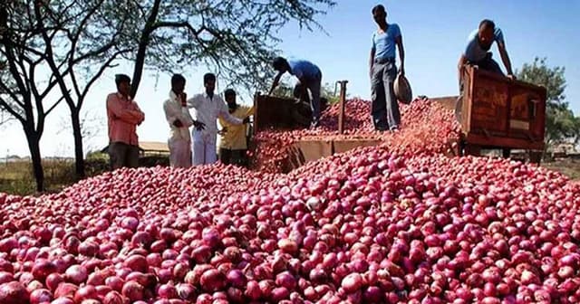 রাতেই ভারত থেকে আসবে পেঁয়াজ