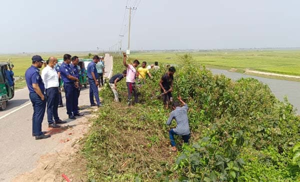 ঈদযাত্রা নির্বিঘ্ন করতে সরাইল-নাসিরনগর সড়কে ঝোপঝাড় অপসারণ