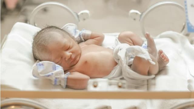 প্রথম বারের মত ৩ পুরুষাঙ্গ নিয়ে জন্মাল শিশু!