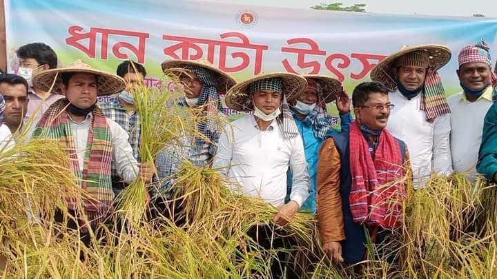 তাহিরপুরে ধান কাটা উৎসব উদ্বোধন করেন জেলা প্রশাসক