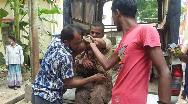 নরসিংদীতে তিনজনকে ছুরিকাঘাত, নিহত ২