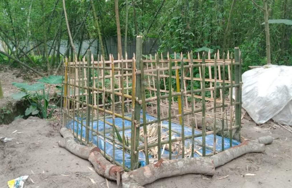 স্কুল ছাত্রীর আত্মহত্যা, প্রেমিকের বিরুদ্ধে প্ররোচনার অভিযোগ
