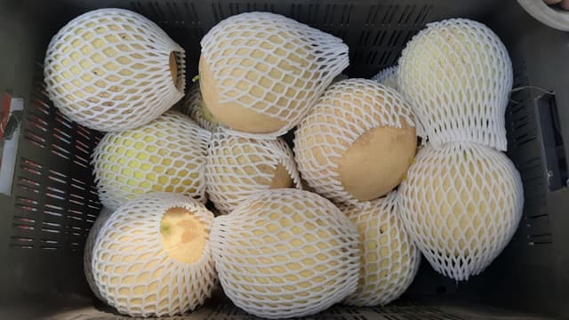 হিলি স্থলবন্দর দিয়ে ভারত থেকে আমদানি হচ্ছে মাস্ক মিলন