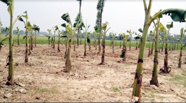 শেরপুরে জোরপূর্বক সম্পত্তি দখলের চেষ্টা
