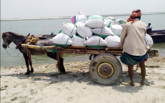 ঘোড়ার গাড়িই ভরসা যমুনার চরের মানুষের