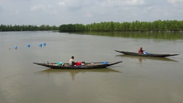 সুন্দরবনে মাছ ধরতে গিয়ে বড় ভাই জেলে, ছোট ভাই নিখোঁজ