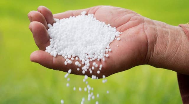 বাড়ল সারের দাম