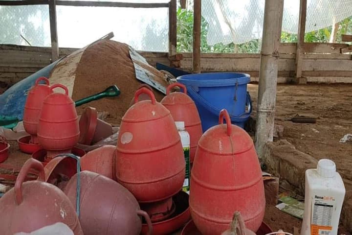 মুরগি চোরকে ৪ লাখ টাকা জরিমানা!