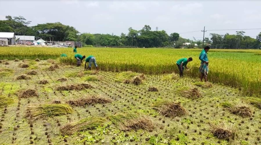 অসহায় ও দরিদ্র কৃষকদের পাশে গ্রীন টিম
