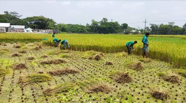 অসহায় ও দরিদ্র কৃষকদের পাশে গ্রীন টিম
