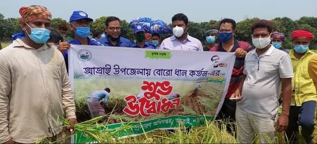 আত্রাইয়ে বোরো ধান কাটা মাড়াই শুরু