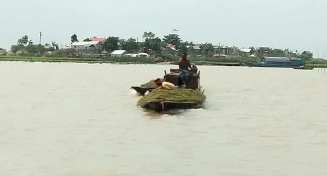 তলিয়ে গেছে হাওরের শতাধিক হেক্টরের ধান