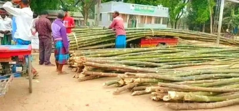 মিনি স্টেডিয়ামে বাঁশের হাঁট, নীরব ভূমিকায় মেয়র