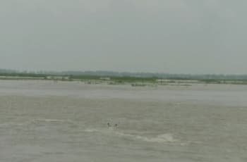 নদীতে গোসল করতে গিয়ে ভাইবোন নিখোঁজ
