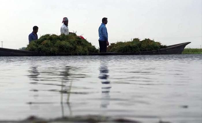 সুনামগঞ্জে ভাঙল বাঁধ, তলিয়ে গেল ২০ হেক্টর জমি