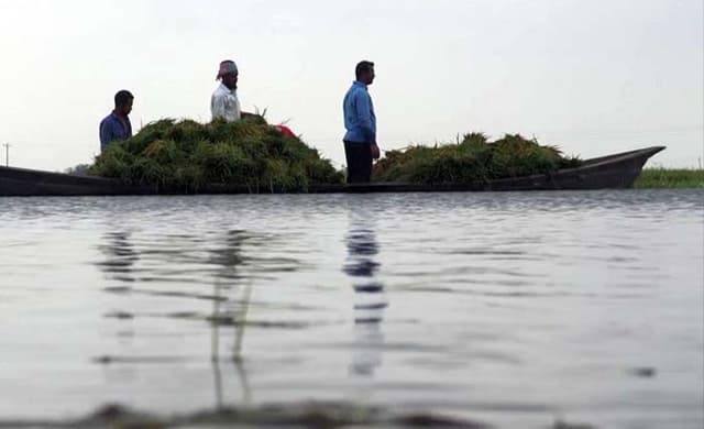 সুনামগঞ্জে ভাঙল বাঁধ, তলিয়ে গেল ২০ হেক্টর জমি