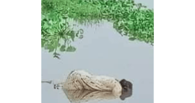 নিখোঁজের ৩দিন পর বৃদ্ধার অর্ধগলিত মরদেহ উদ্ধার